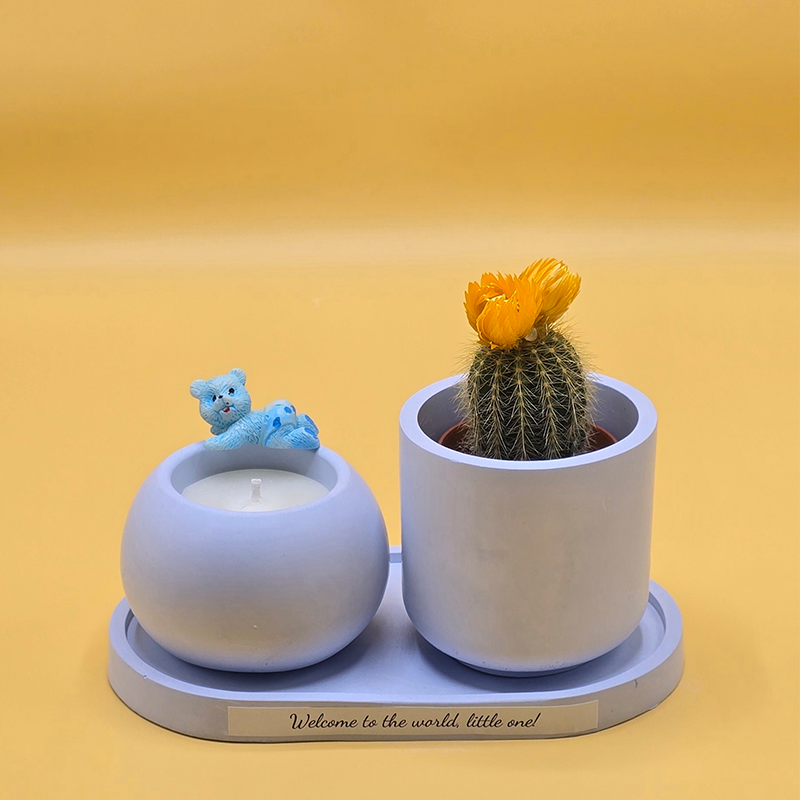 Baby Bloom Candle & Cactus Set