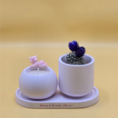 Baby Bloom Candle & Cactus Set