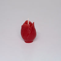 Tulip Candles
