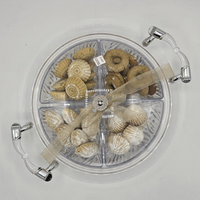 Traditional Maamoul - Plexi Tray